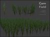 corn