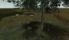 treeshadowingame2smallvo6