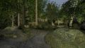 dod baum_b40002