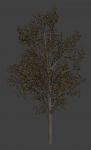 thumb_autumn02