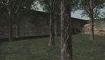 thumb_sometrees